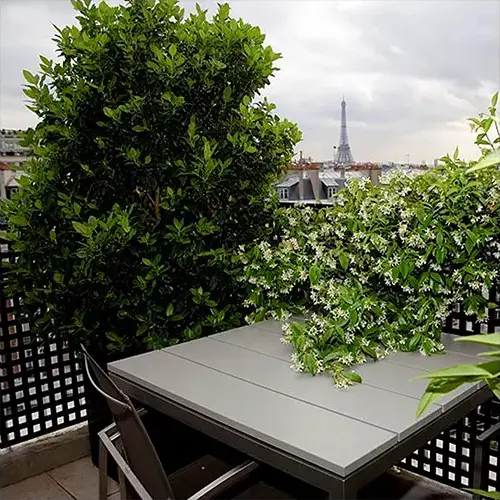 Terrasse en bois exotique à paris avec vu sur la Tour Eiffel