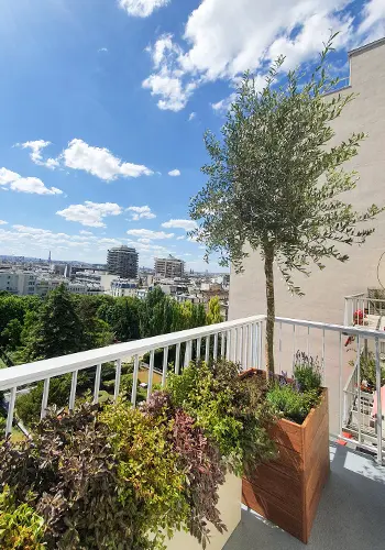 Balcon parisien avec vue sur la Tour Eiffel comprenant des plantes en bacs sur mesure