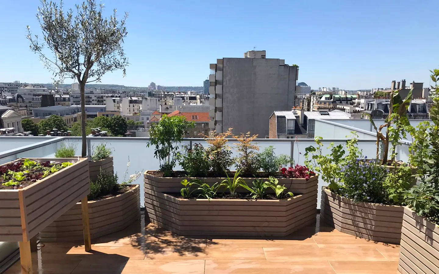 Pour concevoir et réaliser cette très belle terrasse dans le 15ème arrondissement de Paris nous sommes partis d’une feuille blanche. Les demandes étaient la mise en œuvre d’un maximum de matériaux naturels et l’alliage de jardin d’agrément, de cultures potagères et aromatiques.